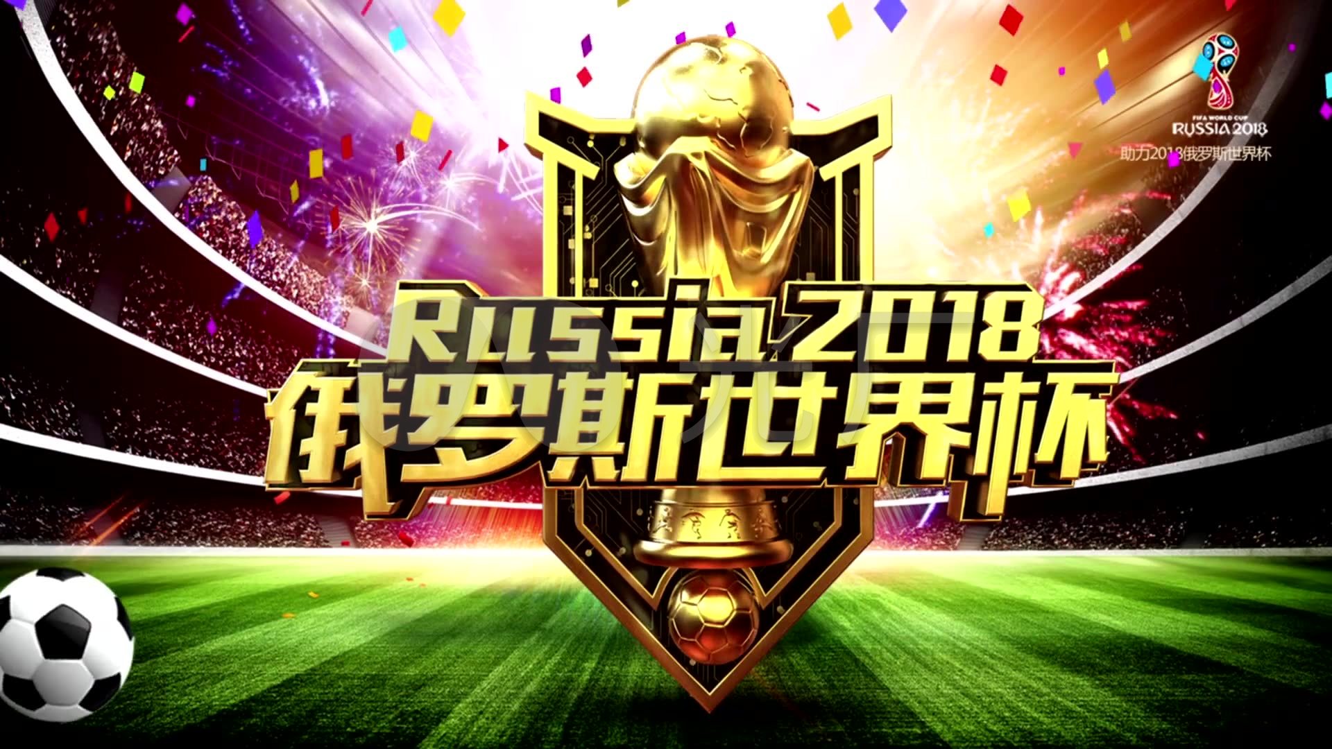 不仅有