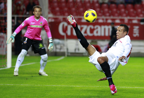 这些建议不 这些建议不